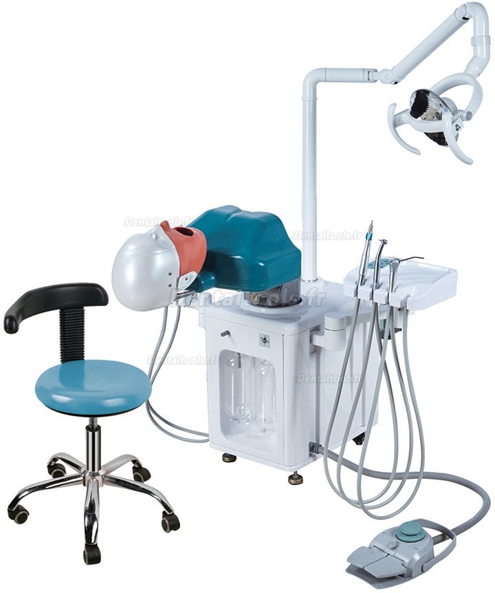 Simulateur chirurgie pour soins dentaire unité de simulation formation dentaire typodont compatible avec Nissin Kilgore / Frasaco